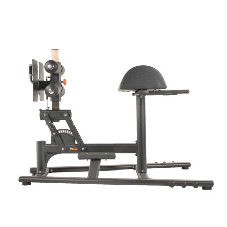 TF Standard, Glute/ham developer bench