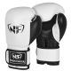 NF Basic Training Boxing Gloves, White