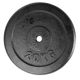 20kg viktskiva i järn