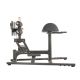 TF Standard, Glute/ham developer bench