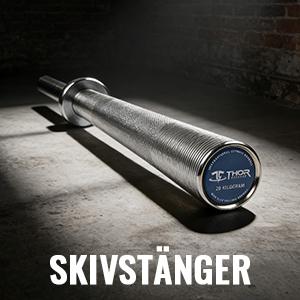 Skivstänger